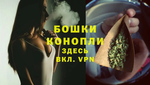стафф Богородск