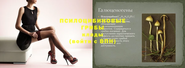 мескалин Богданович
