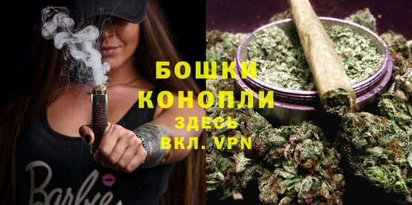 тгк Богородицк