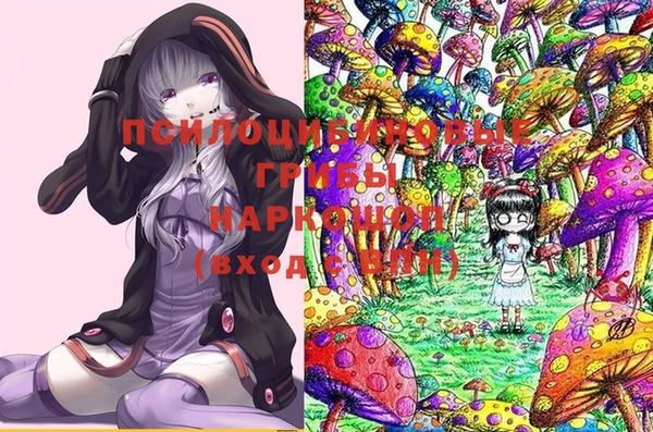 тгк Богородицк