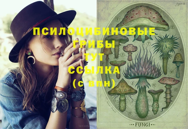 тгк Богородицк