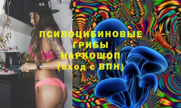ECSTASY Белоозёрский