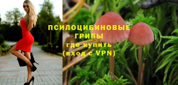 тгк Богородицк