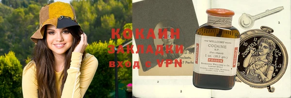 тгк Богородицк