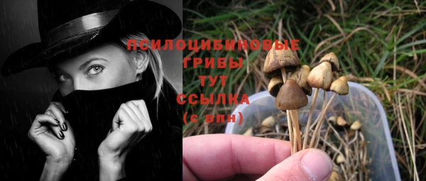 мескалин Богданович
